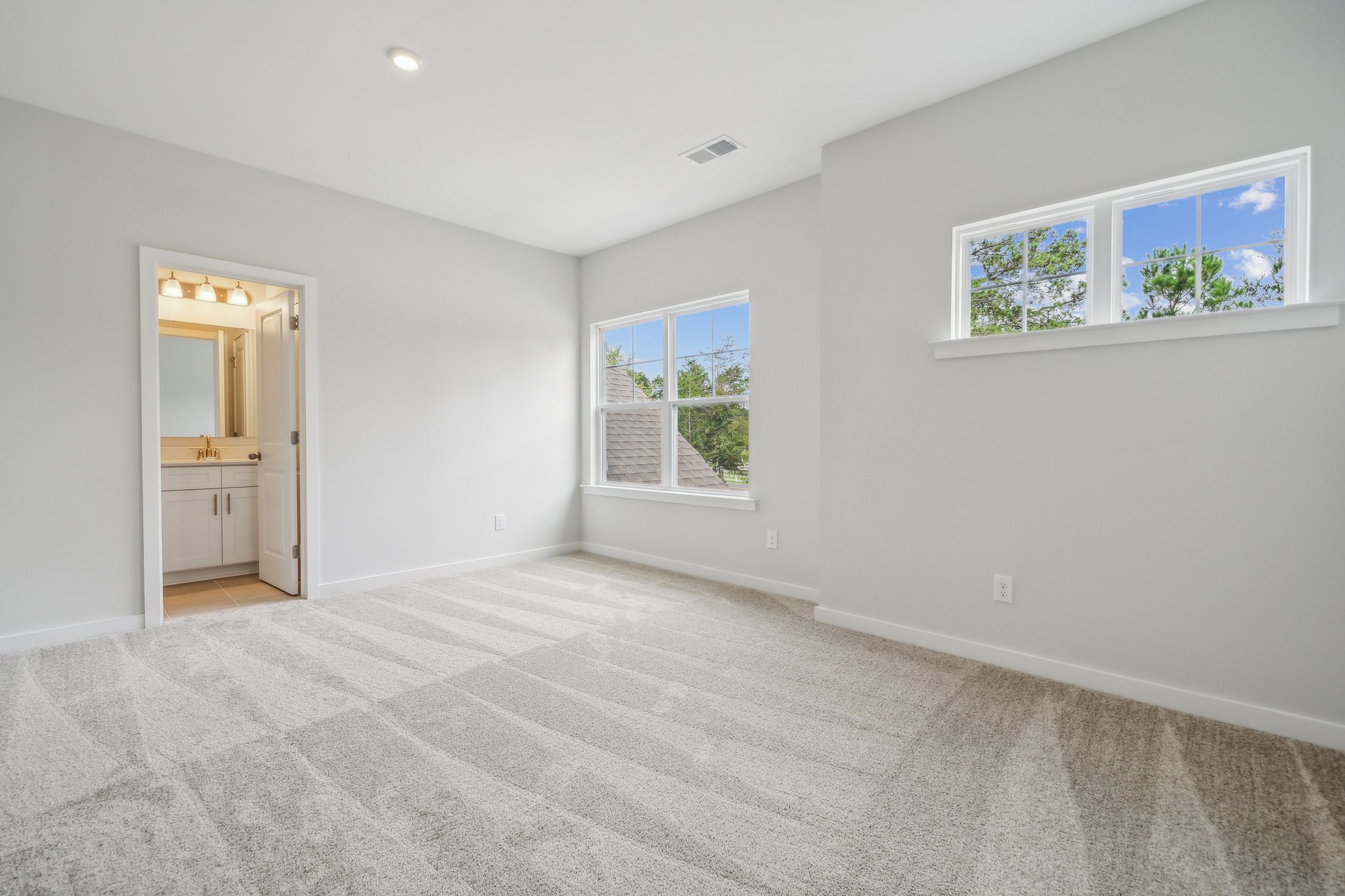 A room with a carpet and windows.
