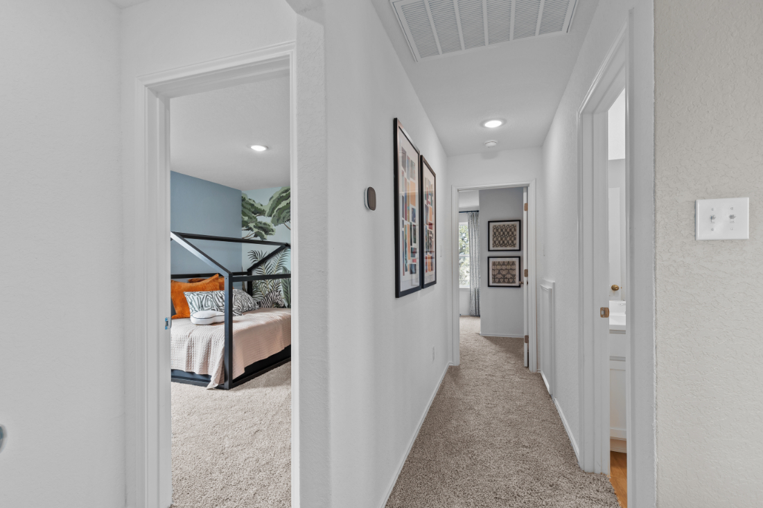 A hallway with a bed and a plant.